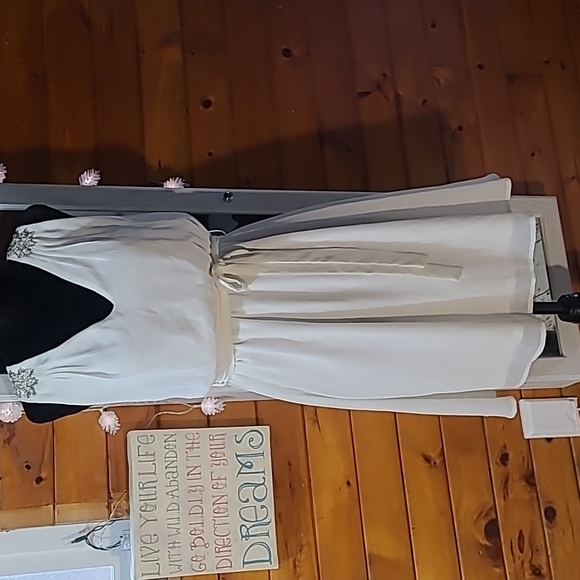 Francesca's Collections Dresses & Skirts - Francesca's Ivory wedding/party dress